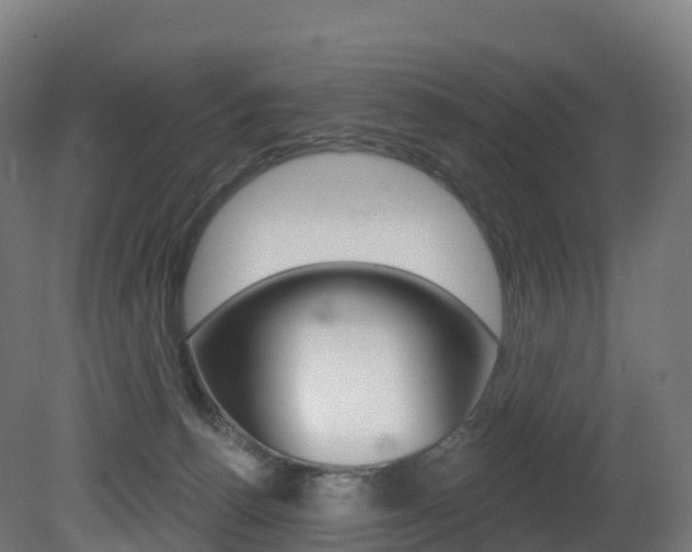 X0000081500176200701121148