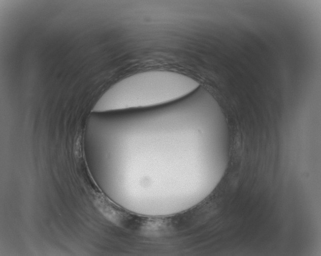 X0000081500177200701121148