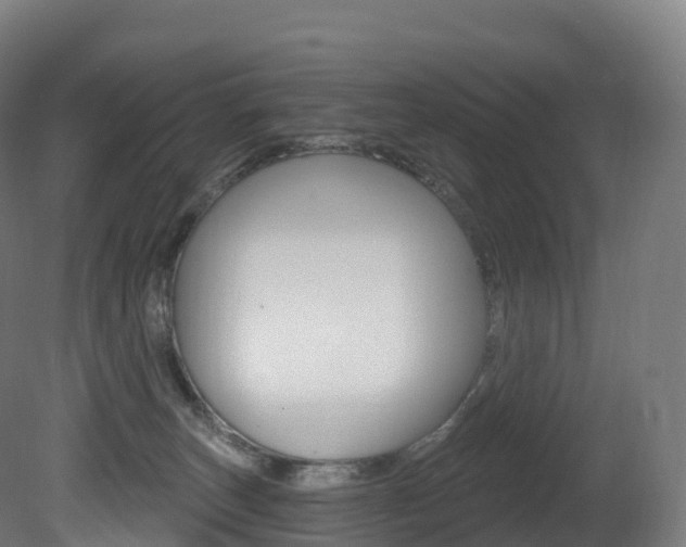 X0000081500179200701121148