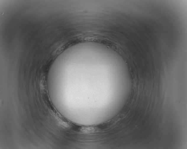 X0000081500181200701121148