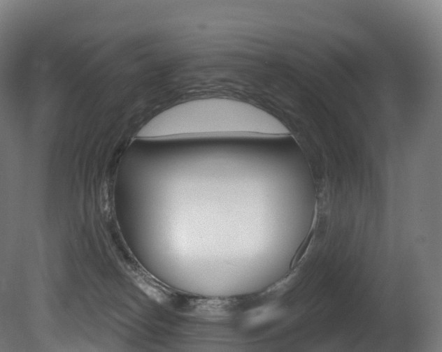 X0000081500182200701121148