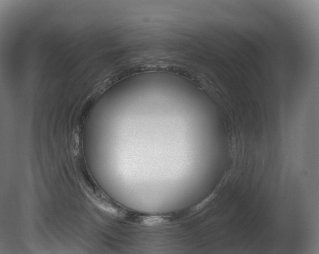 X0000081500183200701121148