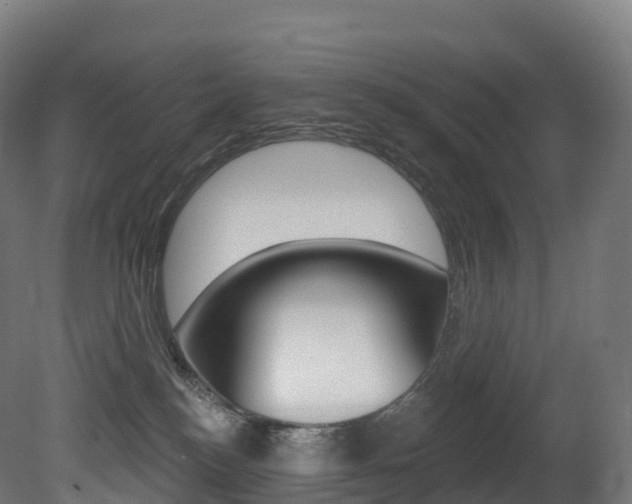 X0000081500184200701121148