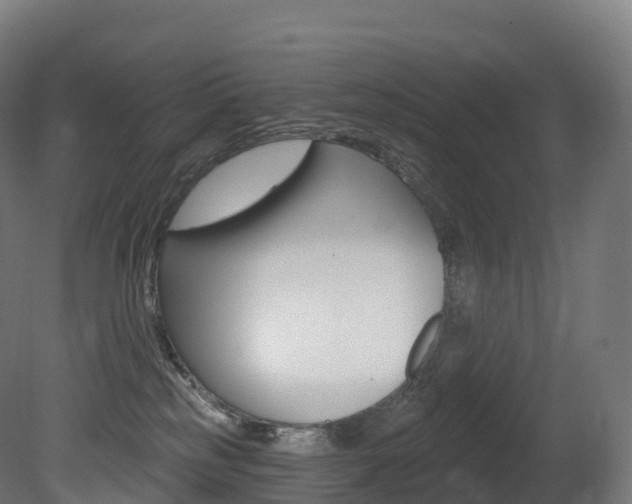 X0000081500185200701121148