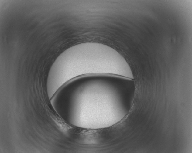 X0000081500186200701121148