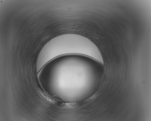X0000081500188200701121148