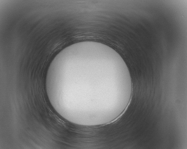 X0000081500190200701121148