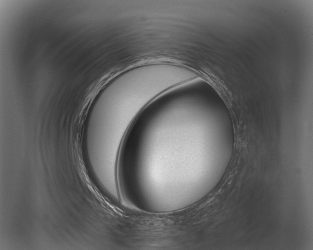 X0000081500193200701121147