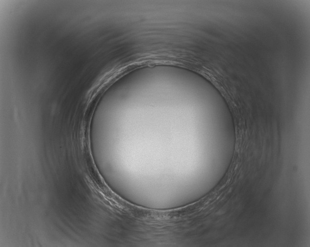 X0000081500194200701121147