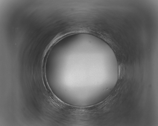 X0000081500195200701121147