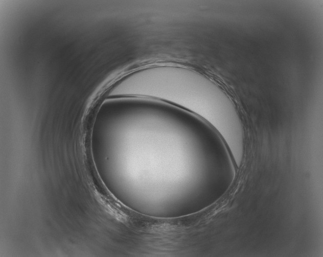 X0000081500197200701121147