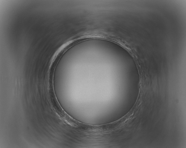 X0000081500200200701121147