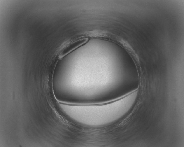 X0000081500201200701121147