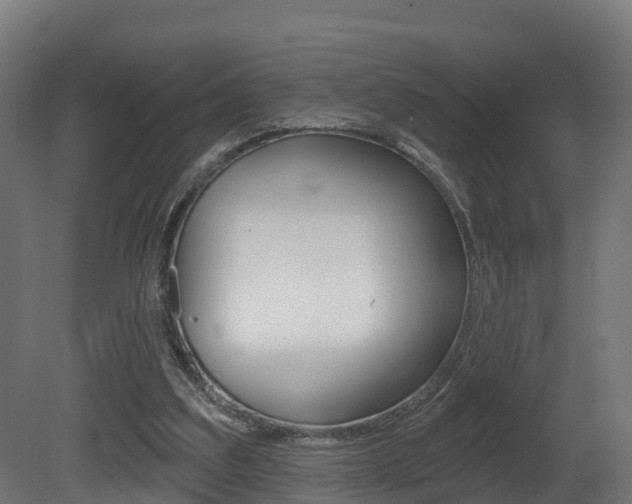 X0000081500203200701121147