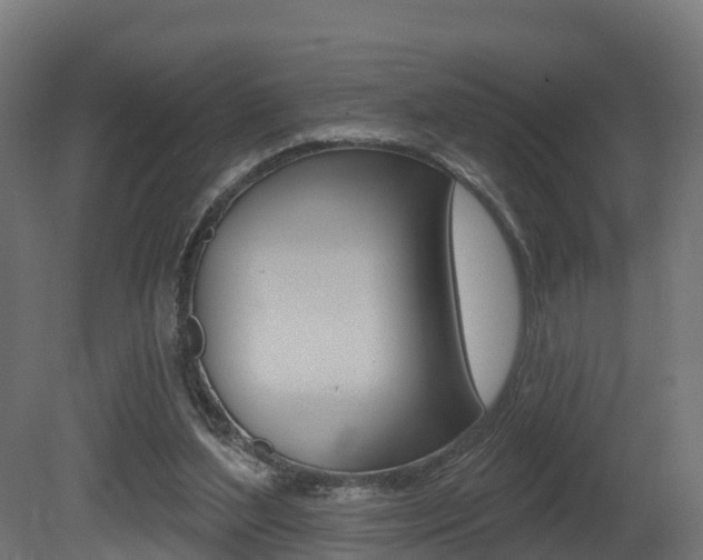 X0000081500204200701121147