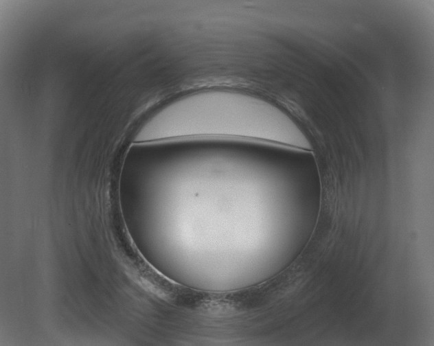 X0000081500207200701121147