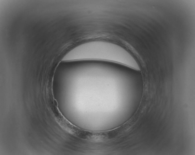 X0000081500209200701121147