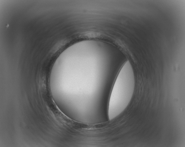X0000081500212200701121147