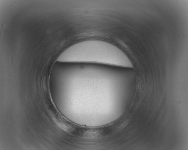 X0000081500213200701121147