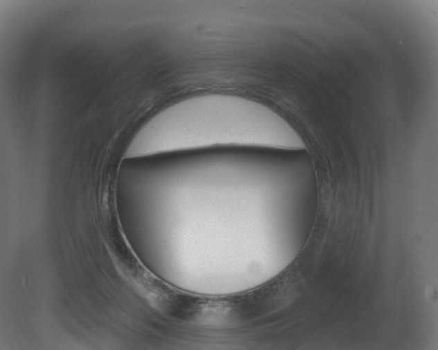 X0000081500214200701121147