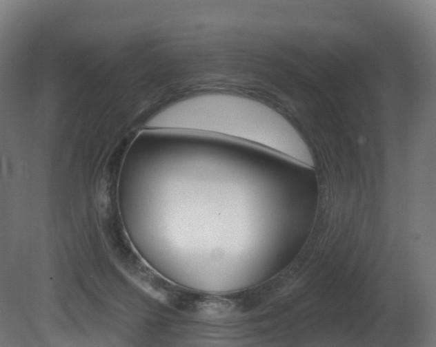 X0000081500215200701121147