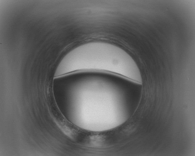 X0000081500216200701121147