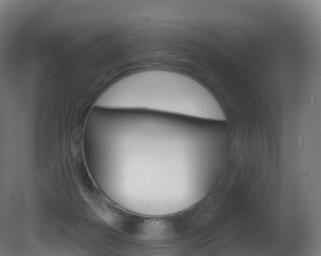 X0000081500218200701121147