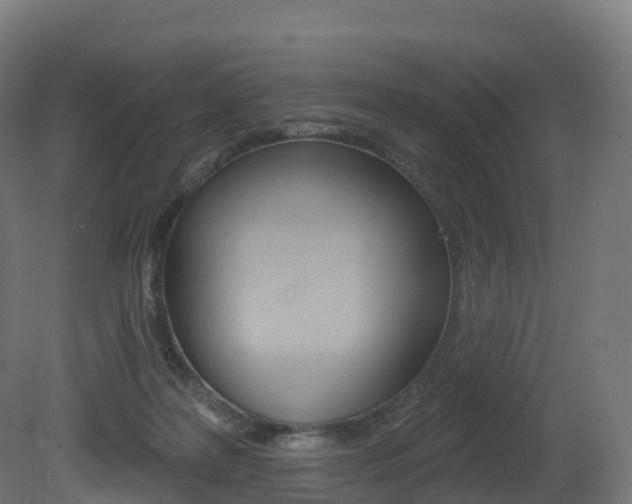 X0000081500219200701121147