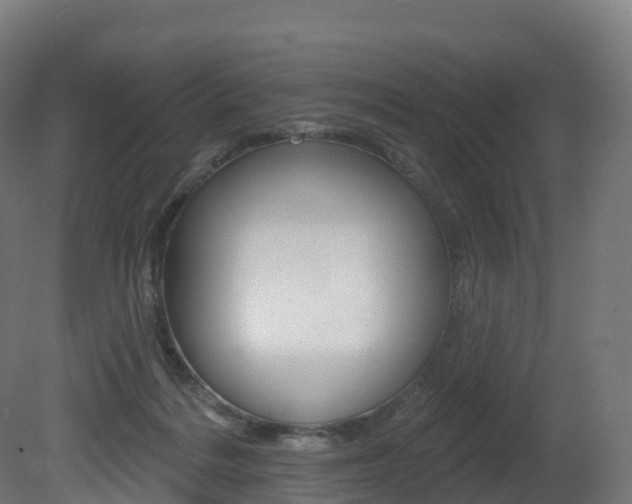 X0000081500220200701121147