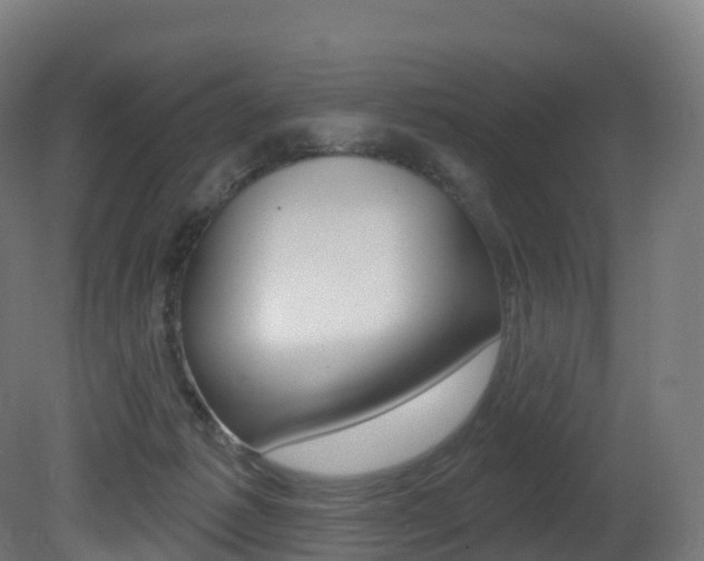 X0000081500221200701121147