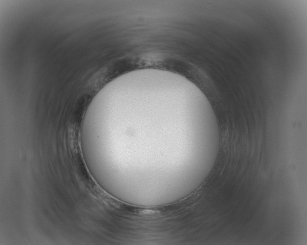 X0000081500222200701121147