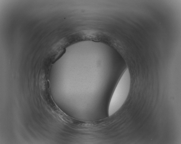 X0000081500223200701121147