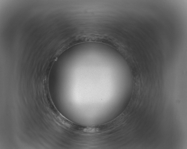 X0000081500225200701121147