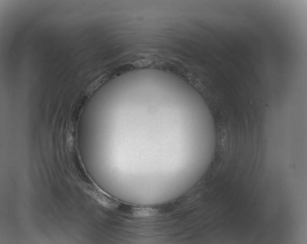 X0000081500226200701121147