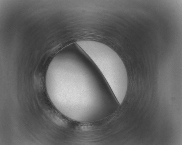 X0000081500228200701121147
