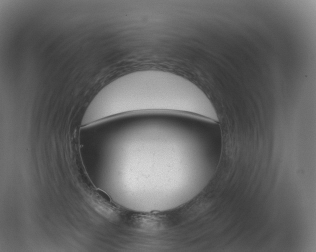 X0000081500229200701121147