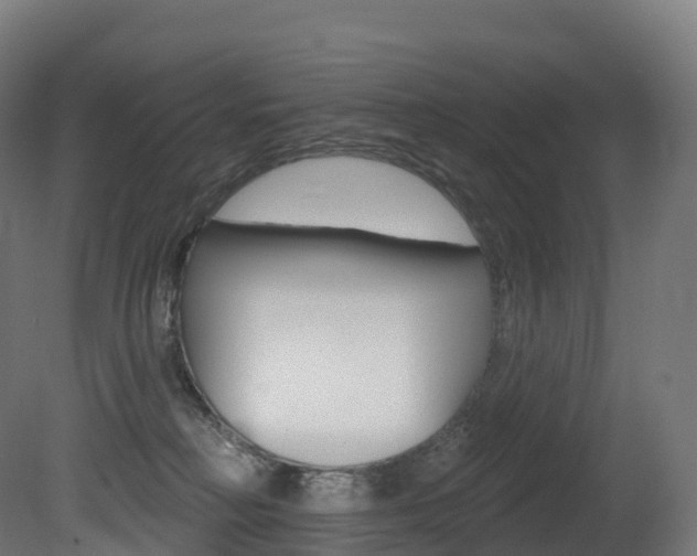 X0000081500230200701121147