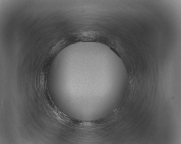 X0000081500231200701121147