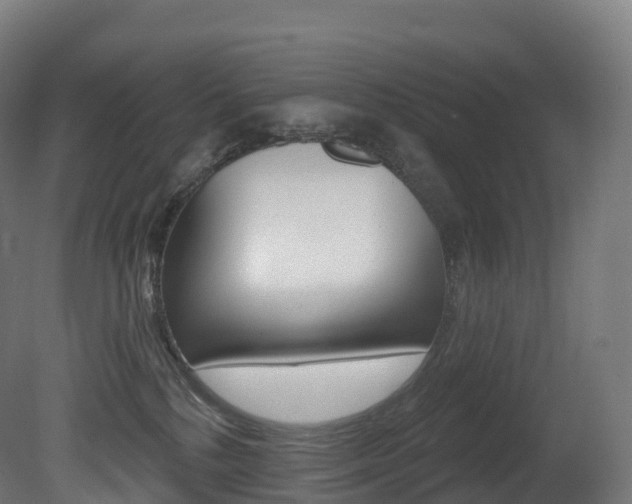 X0000081500232200701121147