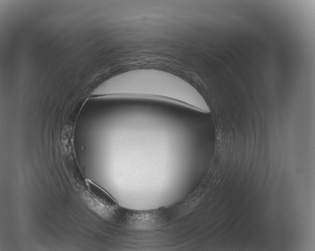 X0000081500237200701121147