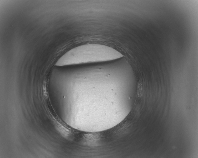 X0000081500238200701121147