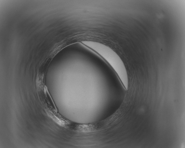 X0000081500239200701121147