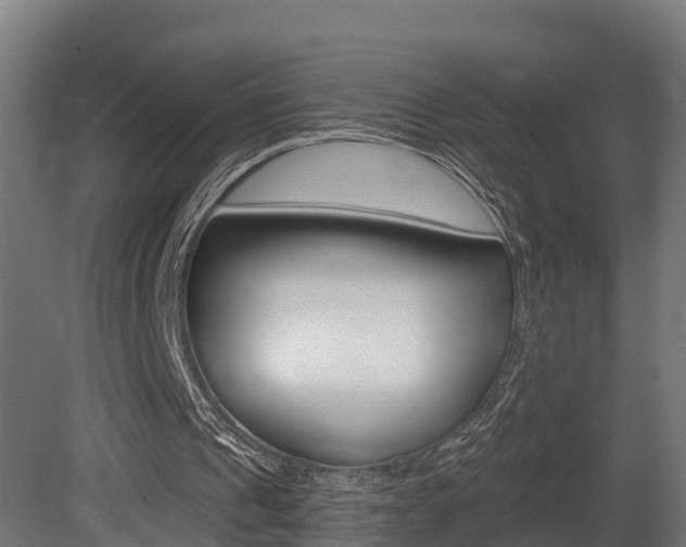 X0000081500241200701121146