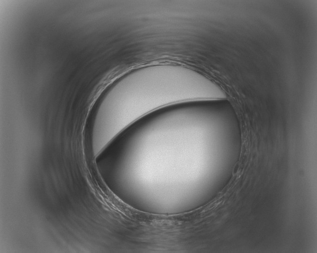 X0000081500242200701121146