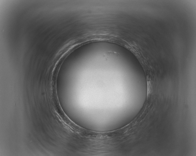 X0000081500243200701121146