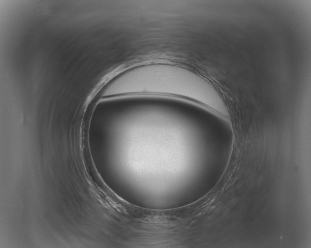 X0000081500244200701121146