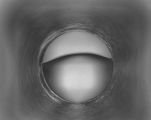 X0000081500245200701121146