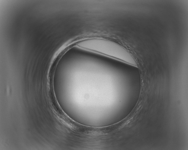 X0000081500246200701121146