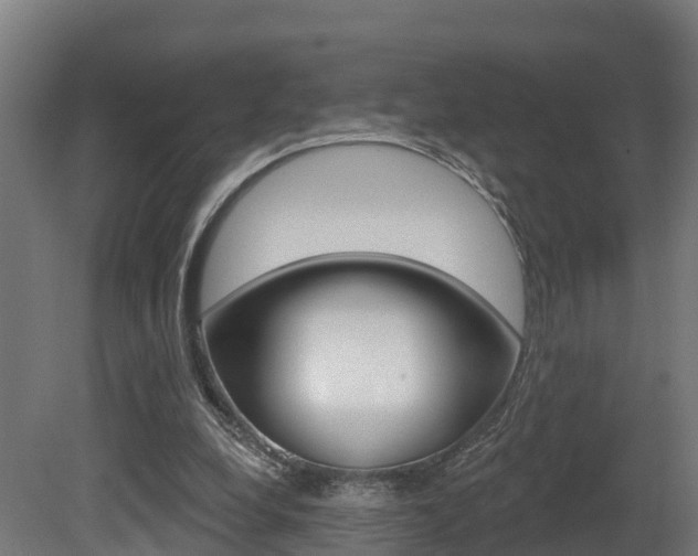 X0000081500248200701121146