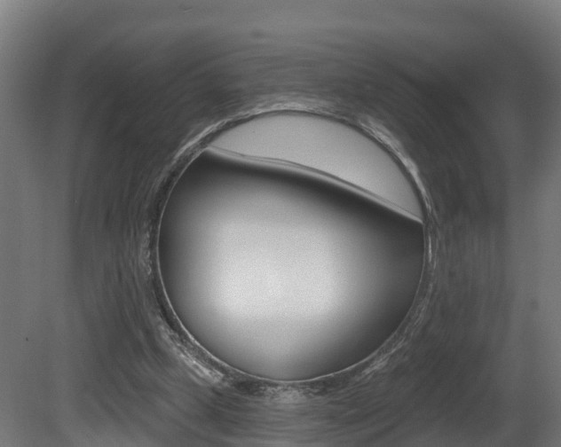 X0000081500249200701121146